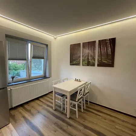 Mieszkanie Apartment